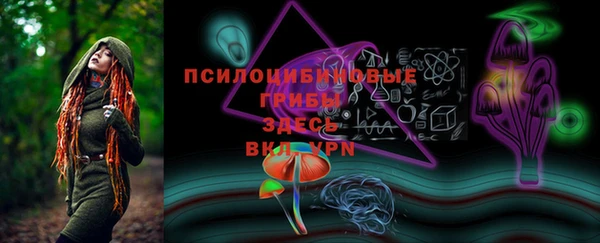МДПВ Абинск
