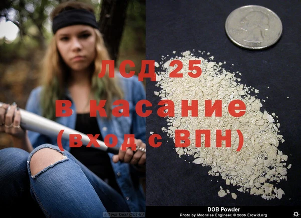 PSILOCYBIN Алексин